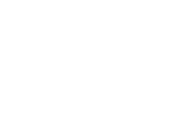 vivilen